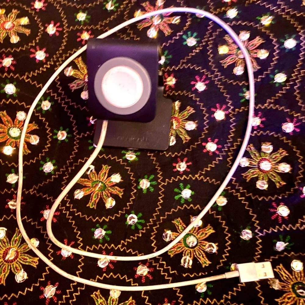 Apple 🍎 Watch charger